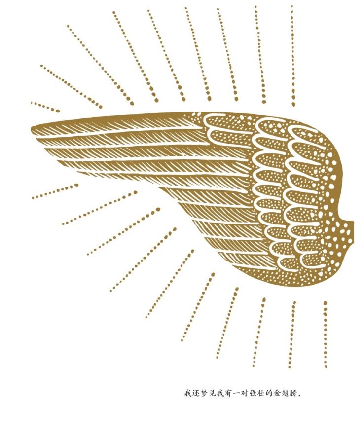 蒂科与金翅膀 (10),绘本,绘本故事,绘本阅读,故事书,童书,图画书,课外阅读